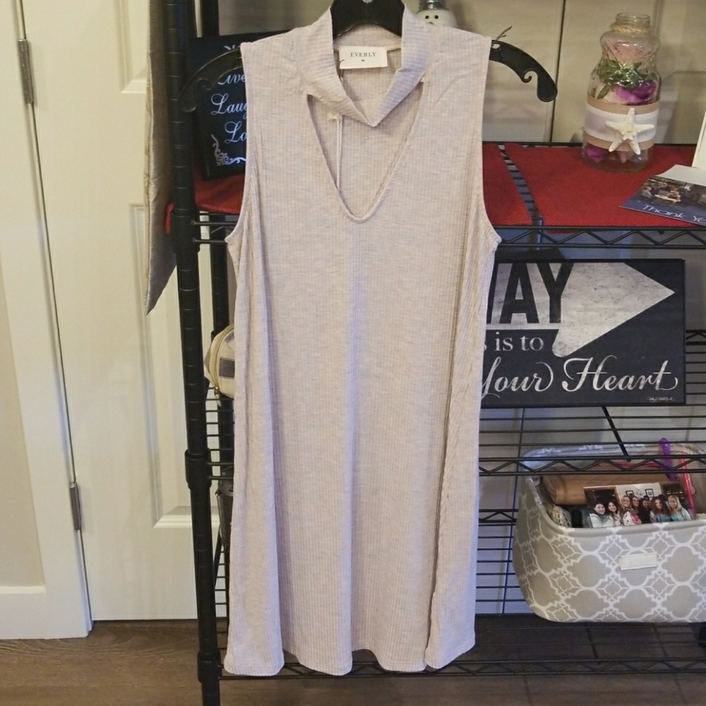 Everly Blush Dress